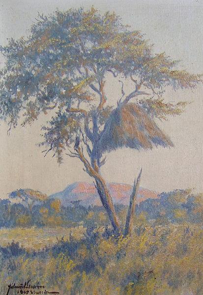 unknow artist Landscape in Namibia oil painting picture